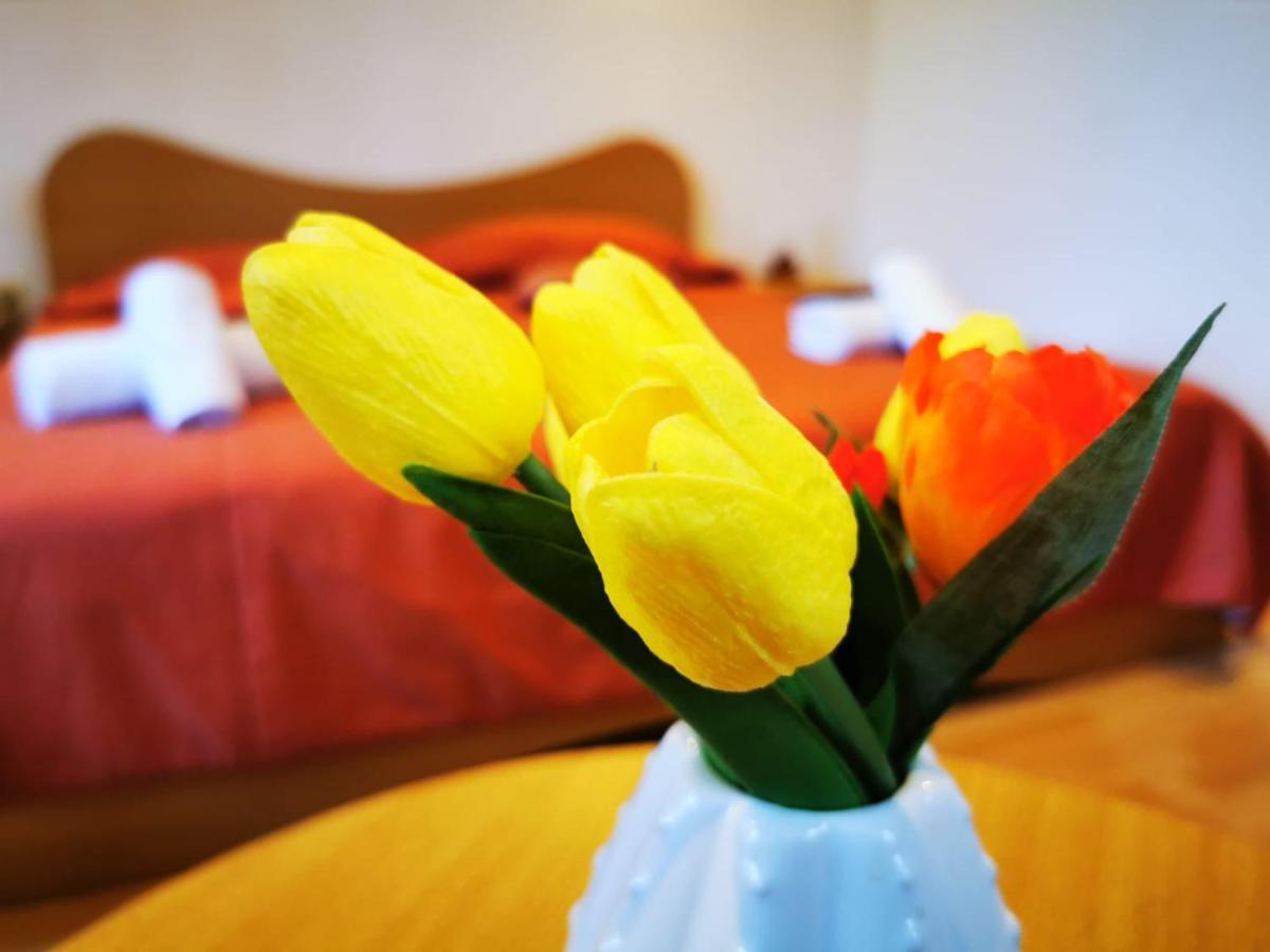 Apartamente Vila Arcadia Западен Ефорие Екстериор снимка